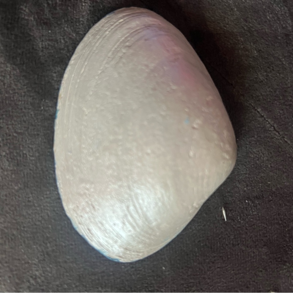 Hand-Painted Seashell Art with Beach Scene - Picture 2 of 3